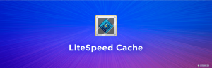 ワードプレスのプラグインLiteSpeed Cacheで５００万サイトに影響を与える脆弱性