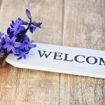 依頼事例:サーバー上のマルウェア駆除と不要なサイトの削除