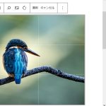 依頼事例:メディアの縮尺ができなくなくなった問題のご解決